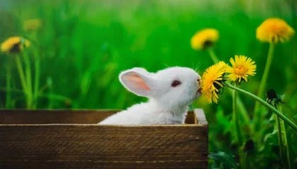 开云体育中国-曼城力克利物浦，梅西乌龙送礼亚洲杯