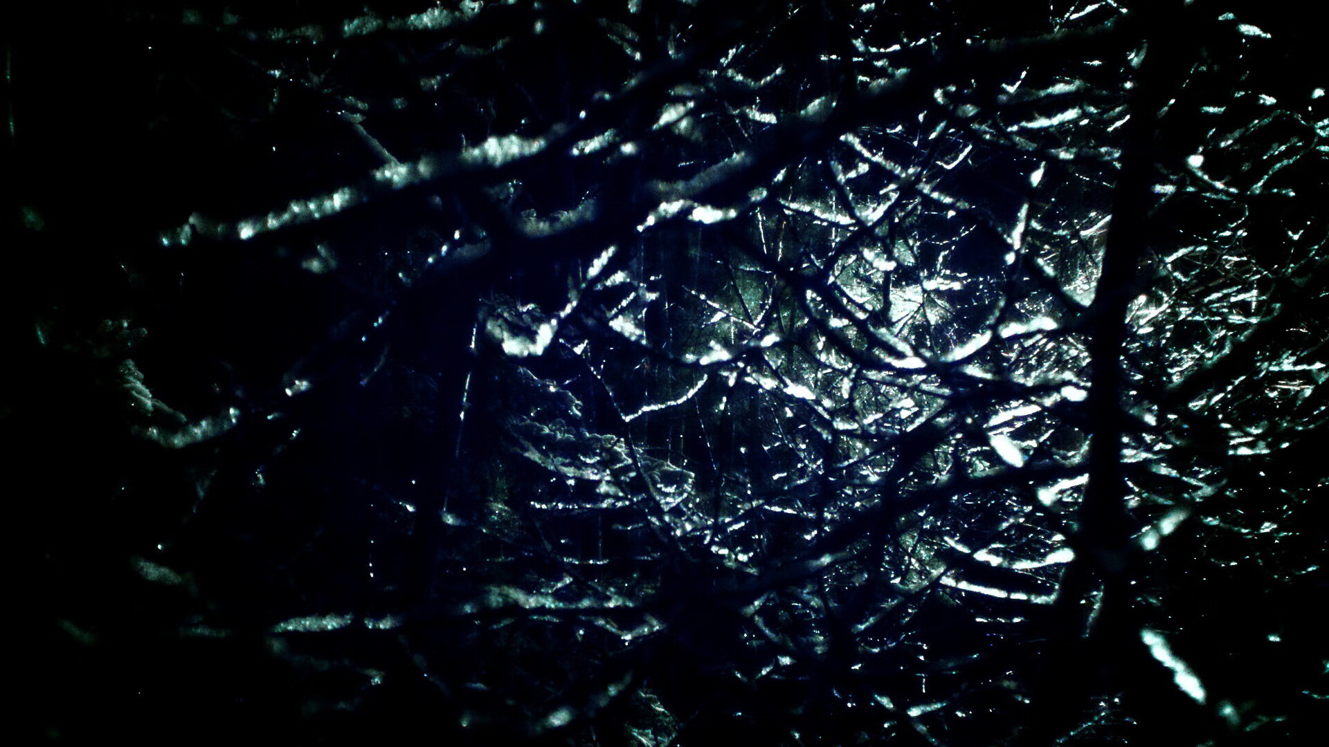 开云体育app-当世界冠军的星光黯淡时，布鲁诺，那个在安哥拉战旗下孤独燃烧的孤勇者